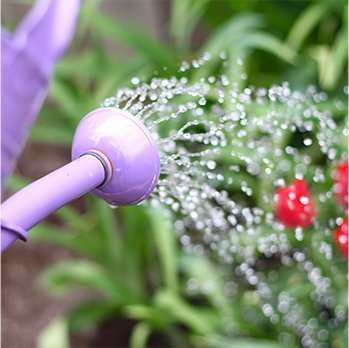 Planten water geven met Kangen Water pH6.0
