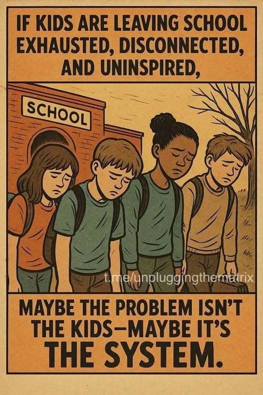 klote schoolsysteem,<br />
hoogbegaafd past niet op school,  ander onderwijs