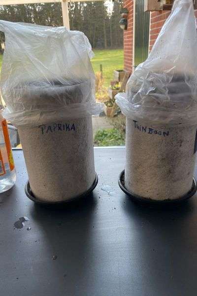 rollen van de snailmethode afdekken en op warme plek plaatsen
