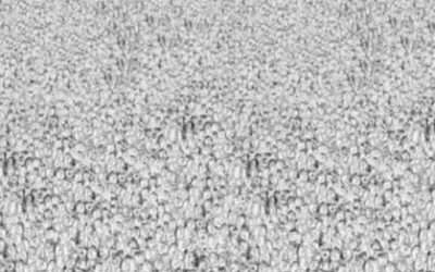 Ze heeft misschien wel gelijk