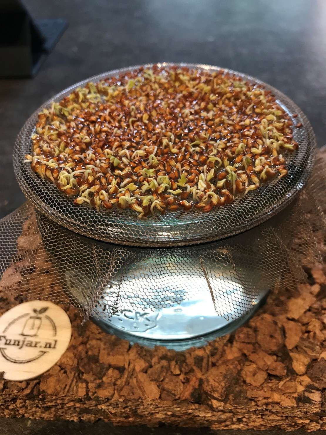 kiemgroenten set it and forget it