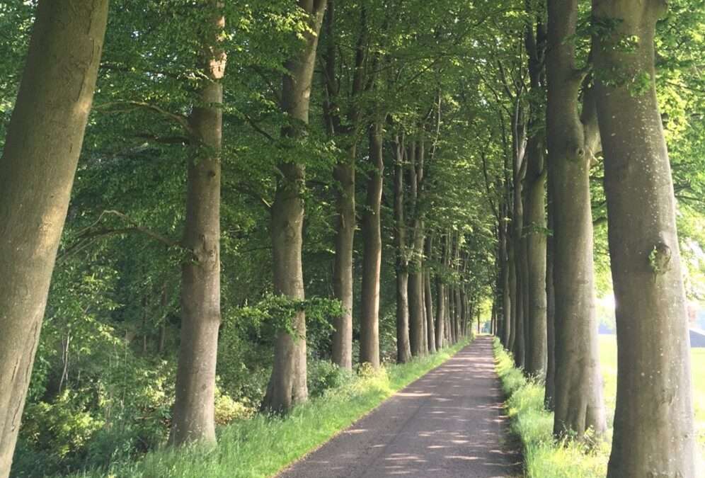 Jezelf uitspreken en op durven staan