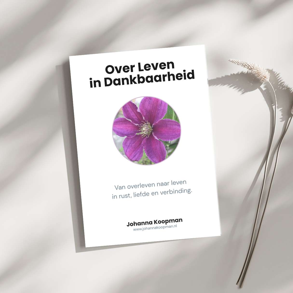 e-book Over Leven in Dankbaarheid