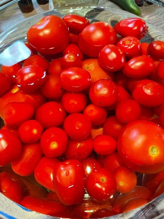 tomaten wassen voor bereiden tomatensaus
